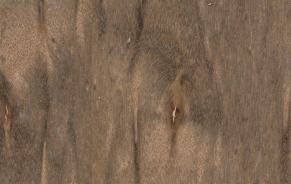 葫芦岛凤尾木JD001R木饰面板